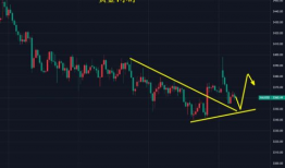 另类变态国产精品